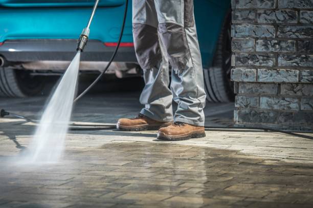 Best Soft Washing  in Old River Winfree, TX