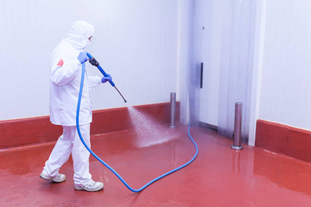 Best Building Exterior Washing  in Old River Winfree, TX