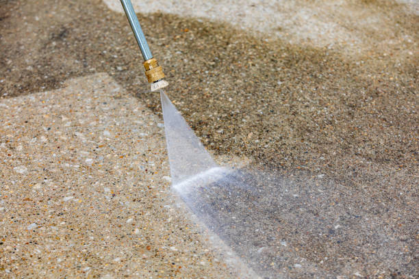 Best Boat and Dock Cleaning  in Old River Winfree, TX